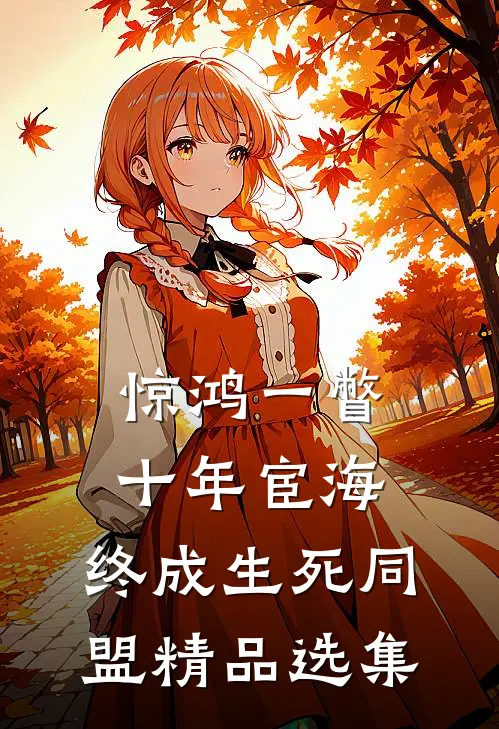 惊鸿一瞥：十年宦海，终成生死同盟精品选集