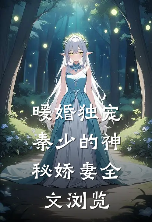 暖婚独宠秦少的神秘娇妻全文浏览