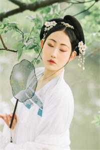 凤回天下：一品医妃苏璃君陌 全集
