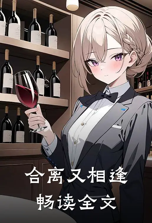 合离又相逢畅读全文在线阅读