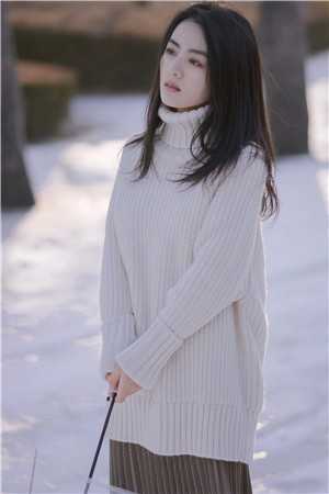九年相恋，无疾而终小说秦佳许盛完结版