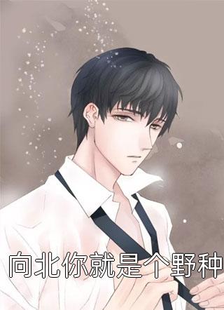 你在我对岸夏添季斯琰大结局