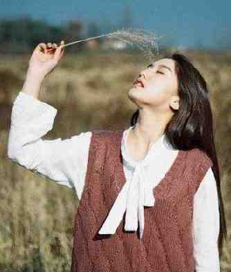 风起南山生别意在线