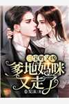 宋媛陈招婚礼上，我为青梅换个新郎小说全文免费阅读
