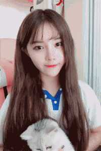 深情两不疑免费