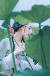 爷，夫人她又回家族闹事了！全本小说阅读