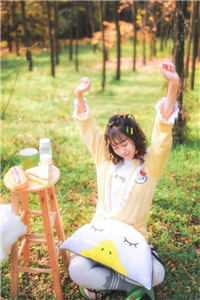 清风也染人间愁叶晚柒贺君城无删减+无广告