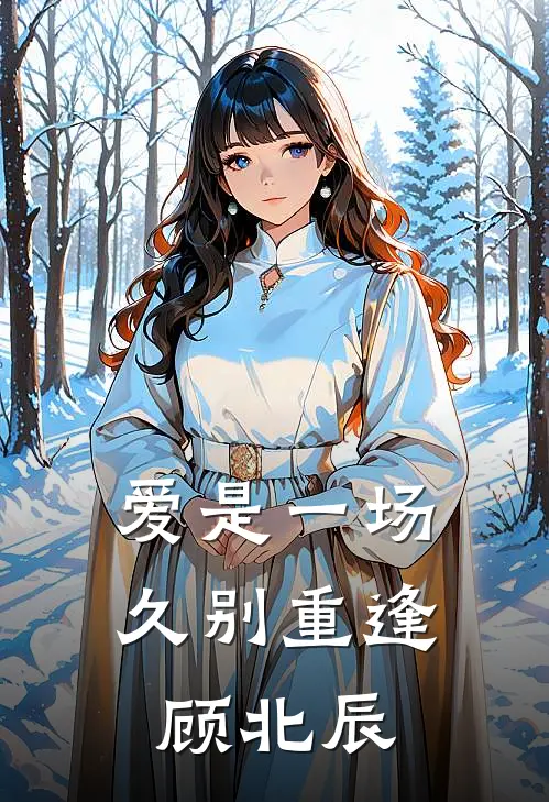 爱是一场久别重逢顾北辰