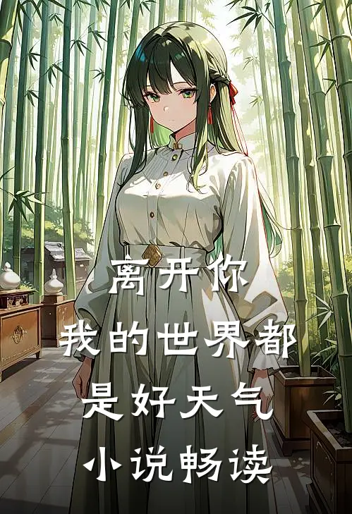 离开你，我的世界都是好天气小说畅读