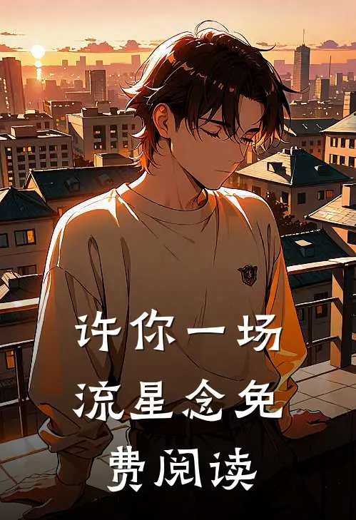 许你一场流星念免费阅读