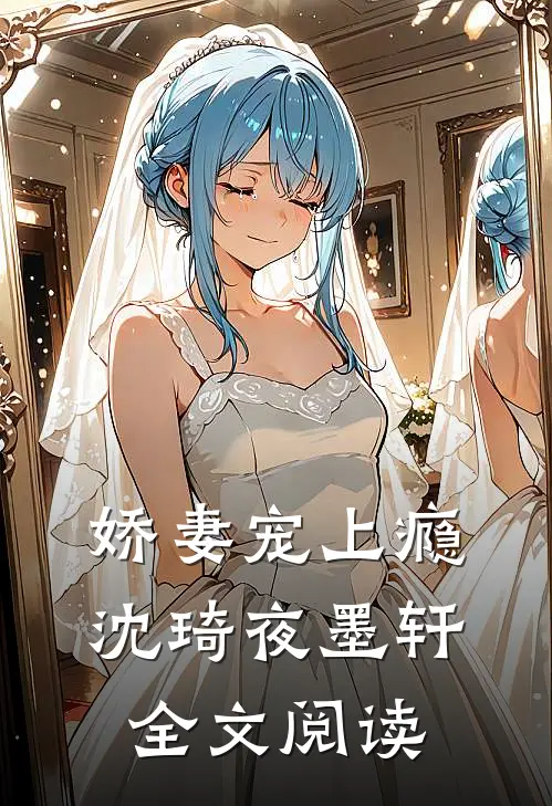 娇妻宠上瘾沈琦夜墨轩全文阅读