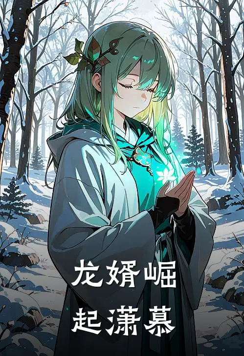 龙婿崛起潇慕