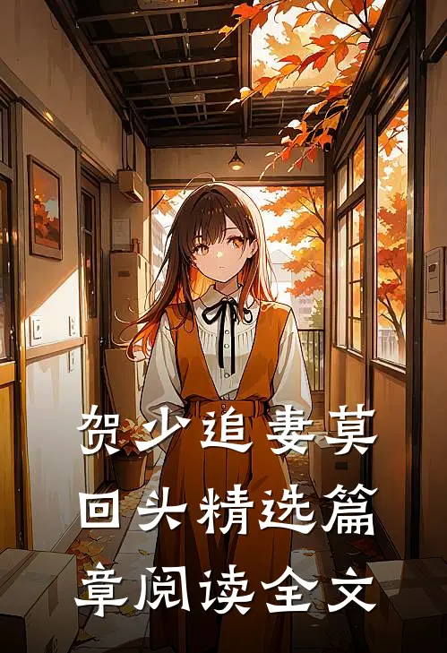 贺少追妻莫回头精选篇章阅读全文