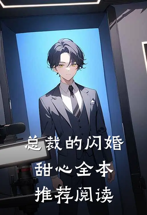 总裁的闪婚甜心全本推荐阅读