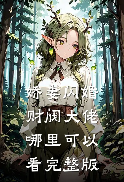 娇妻闪婚财阀大佬哪里可以看完整版