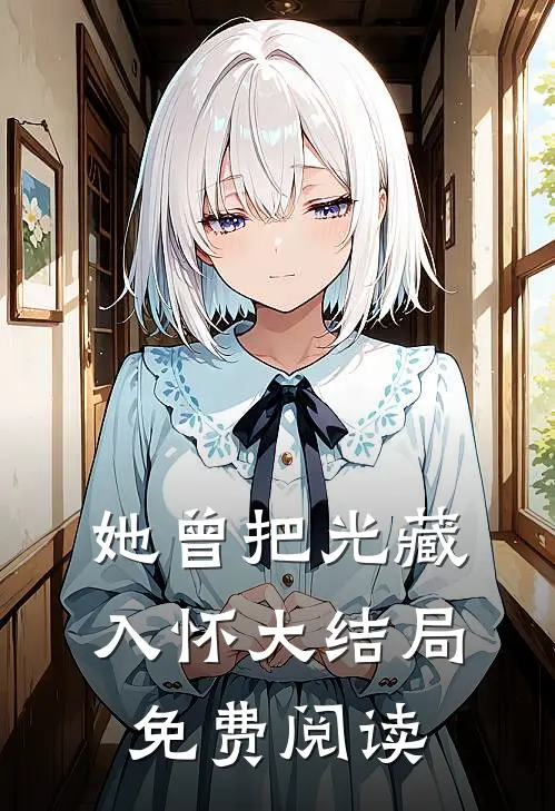 她曾把光藏入怀大结局免费阅读