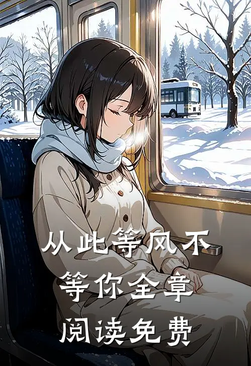 从此等风不等你全章阅读免费