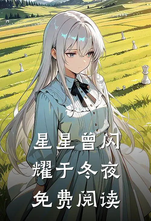 星星曾闪耀于冬夜免费阅读