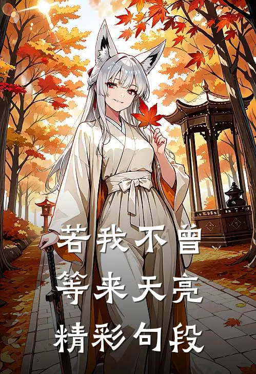 若我不曾等来天亮精彩句段
