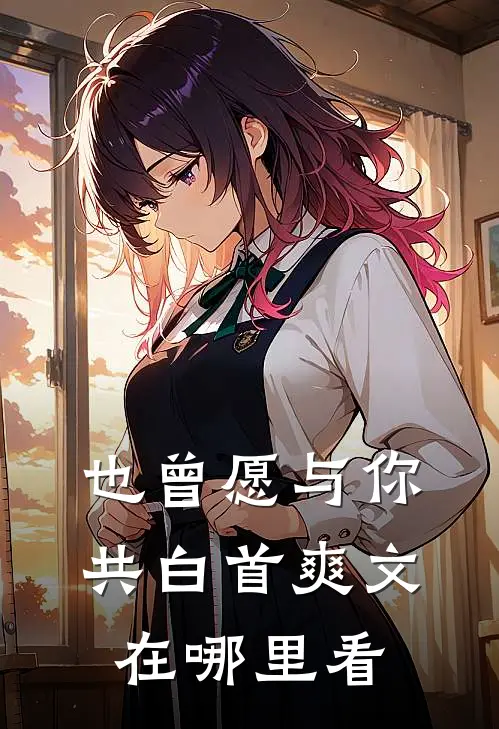 也曾愿与你共白首爽文在哪里看