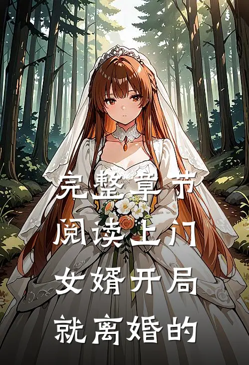 完整章节阅读上门女婿开局就离婚的