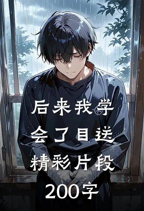 后来我学会了目送精彩片段200字