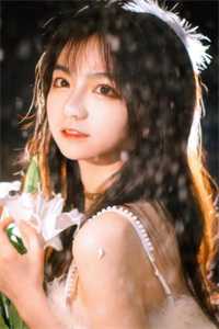 桐花几时落全本小说推荐