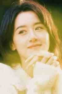 那年风月再无影爆火全网