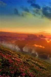 画皮蚀骨终成囚全文章节