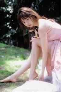 情止黎明前全文+免费