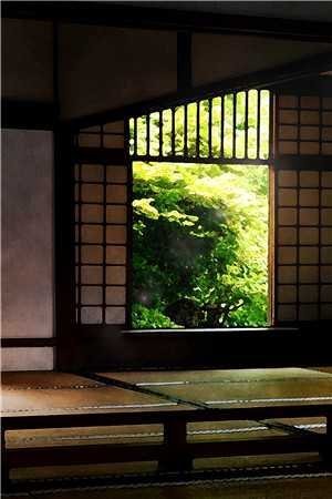 故山犹负平生约免费阅读全文