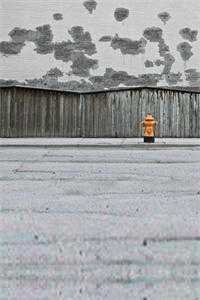 故山犹负平生约结局