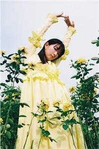 故山犹负平生约完本