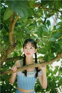 爱恨迟暮一叶秋质量好文