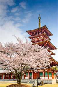 与疯批魔尊互换，他强吻上瘾小说结局