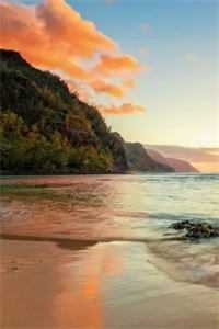 故山犹负平生约爆火全网