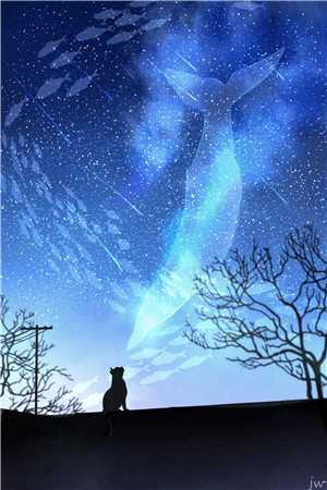 我以枯骨赴花期精彩