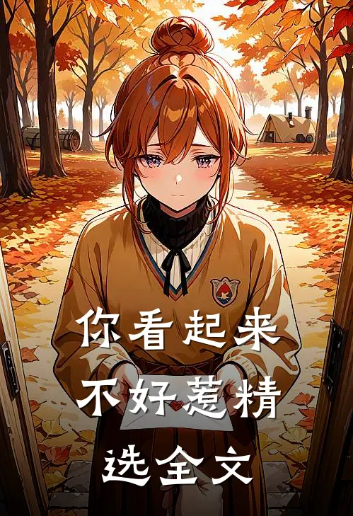 你看起来不好惹精选全文在线阅读
