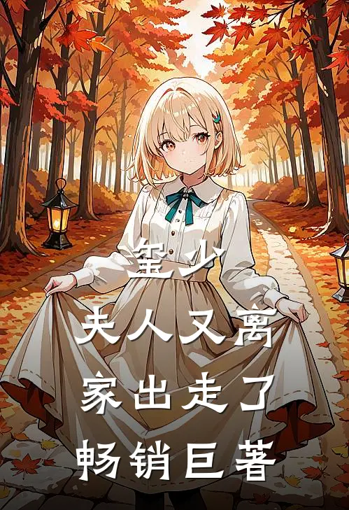 玺少，夫人又离家出走了畅销巨著