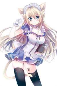 烟水拢残月宋纾禾黎政屿无删减全文