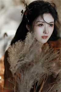 我以枯骨赴花期完整阅读