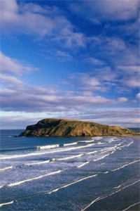 情止黎明前结局+番外