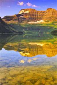 桐花几时落番外