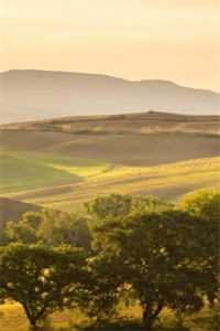 开局快乐按摩，我暴击美女赢麻了小说畅读