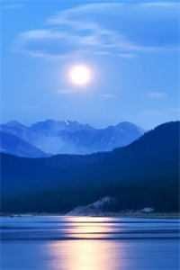 被侯府找回时，我已有三个孩子全文章节