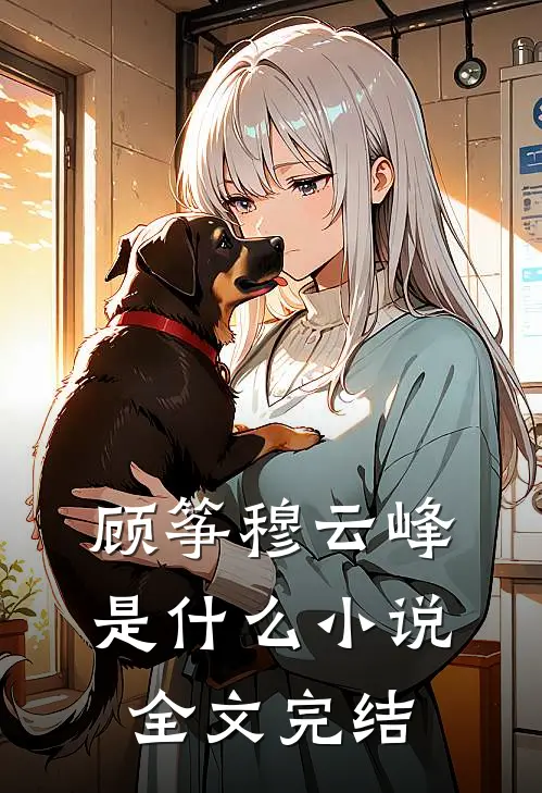 顾筝穆云峰是什么小说全文完结