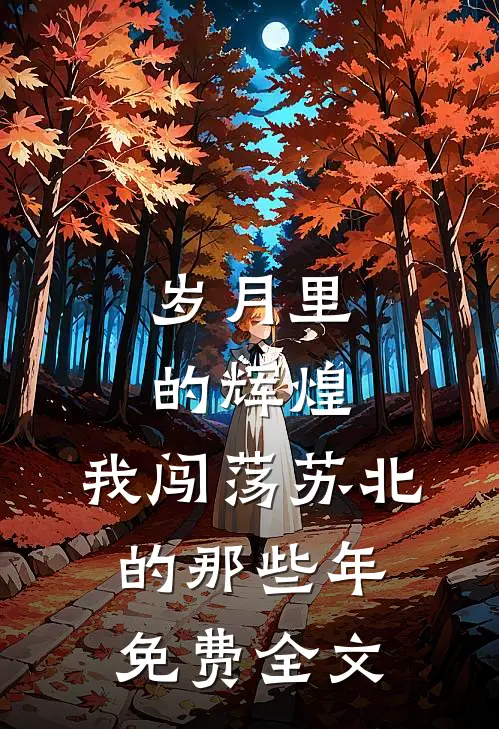 岁月里的辉煌我闯荡苏北的那些年免费全文在线阅读