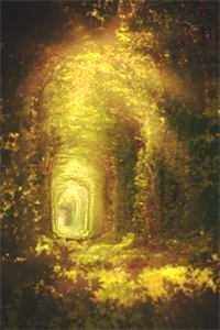 雪域长冬周梧盛以清后续+完结