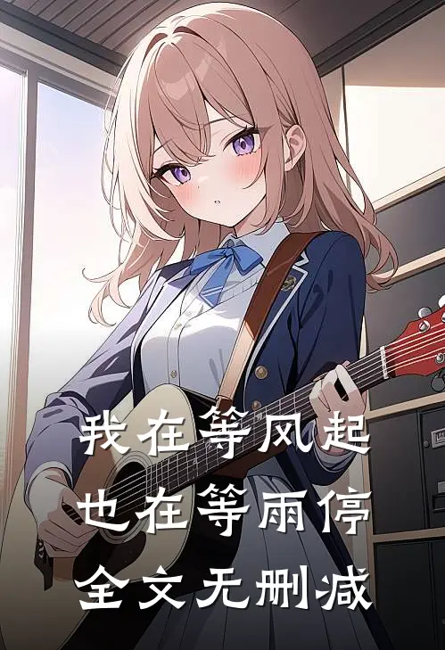 我在等风起,也在等雨停全文无删减免费阅读