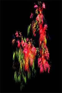 被污抄袭？我摘除了眼球！王胜楠柳依依全文免费